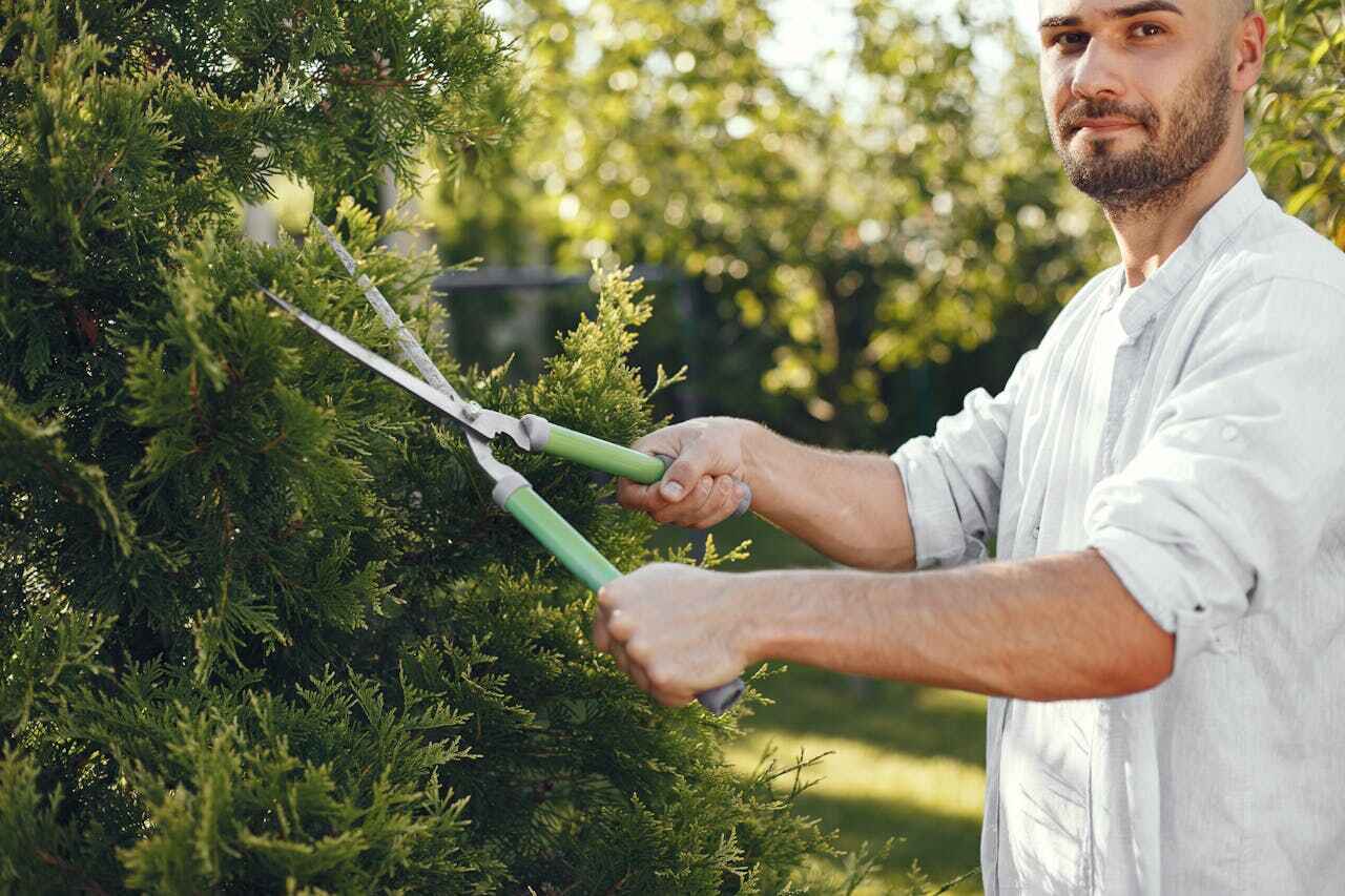 Best Tree Cutting Near Me  in Metlatla, AK